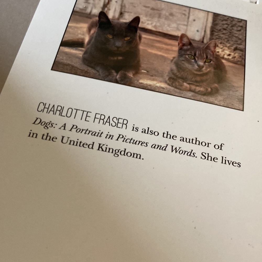 CATS Book - Picture 7 of 8